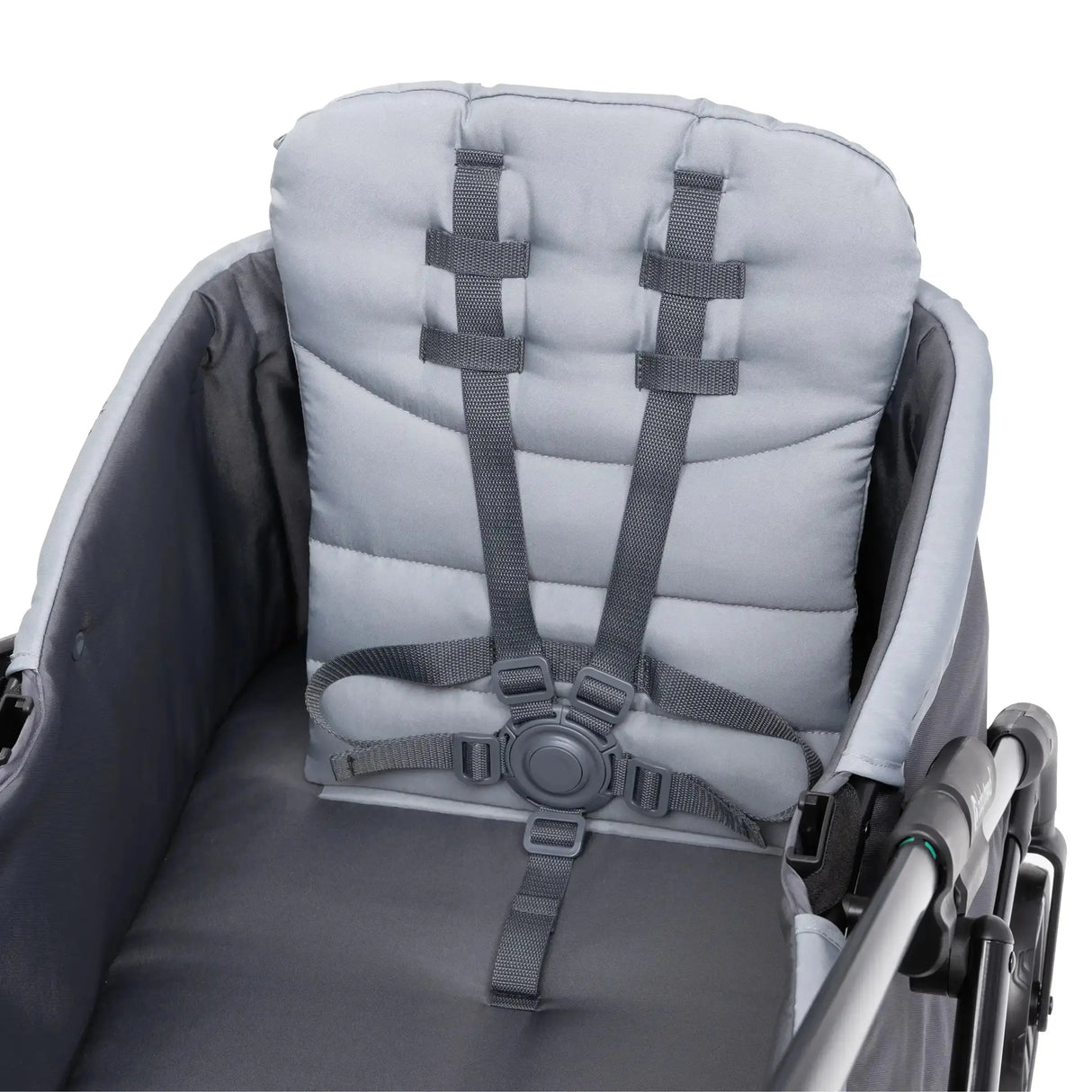 Expedition LTE 2-in-1 Stroller Wagon in Stellar Grey (International)
