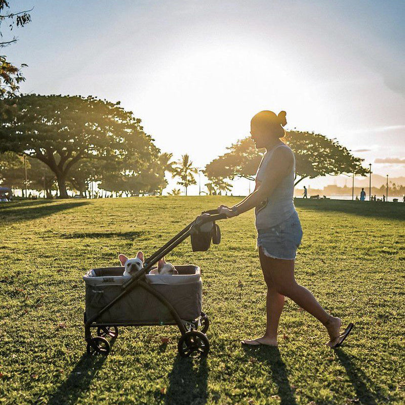 Mom is strolling her dogs in the park with the Baby Trend Tour LTE 2-in-1 Stroller Wagon
