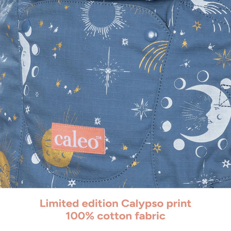 Baby Trend Newborn Carrier limited edition Calypso print
