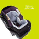 Load image into gallery viewer, Secure-Lift Infant Car Seat