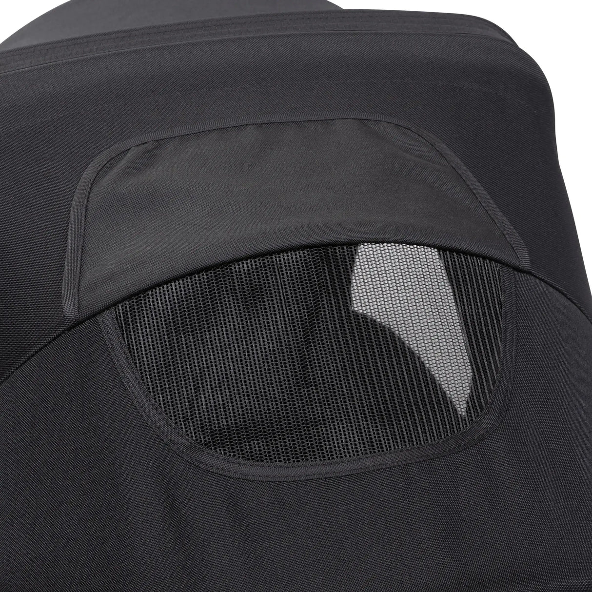 Expedition® 2-in-1 Stroller Wagon PLUS in Ultra Black (International)