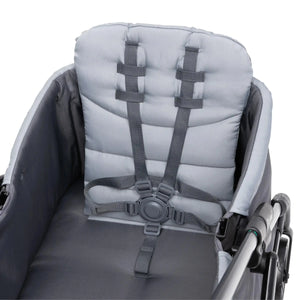Expedition LTE 2-in-1 Stroller Wagon in Stellar Grey (International)
