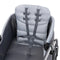 Expedition LTE 2-in-1 Stroller Wagon in Stellar Grey (International)