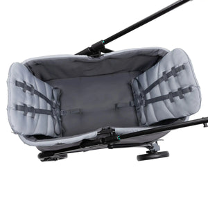 Expedition LTE 2-in-1 Stroller Wagon in Stellar Grey (International)