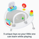 Load image into gallery viewer, Smart Steps 3-in-1 Bounce N’ Play Activity Center PLUS with 5 unique toys so your little one can learn while playing
