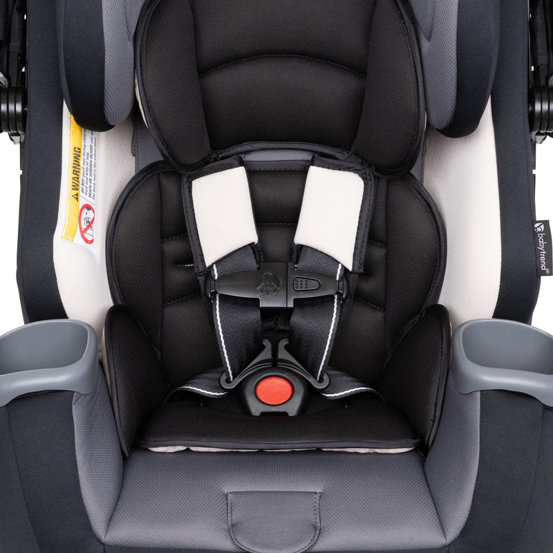 Front view of the seat pad and 5 point safety harness from the Baby Trend Cover Me 4-in-1 Convertible Car Seat