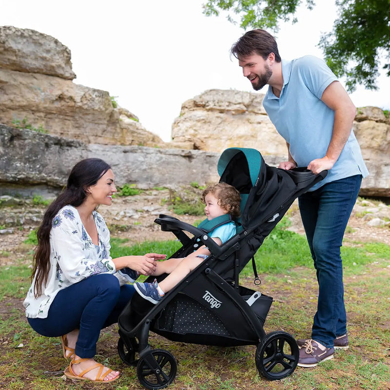Stroller buying checklist